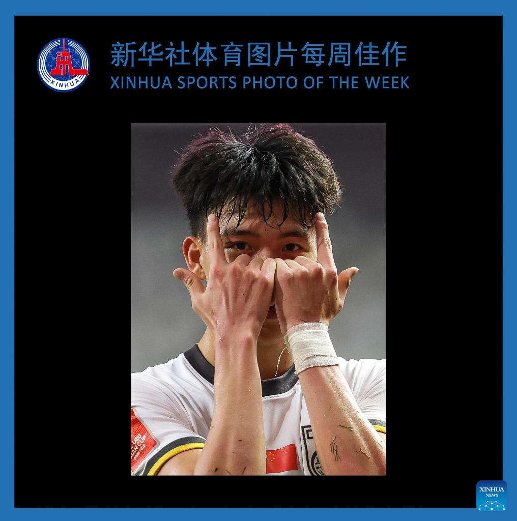 进行了全面